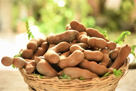 tamarind amazon|where to purchase tamarind.